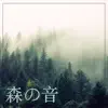 森の音 Star - 森の音 ・ 自然音, 静かな森, 癒やし, 夜の森